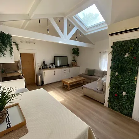 Maison Centre La Capte Holiday home